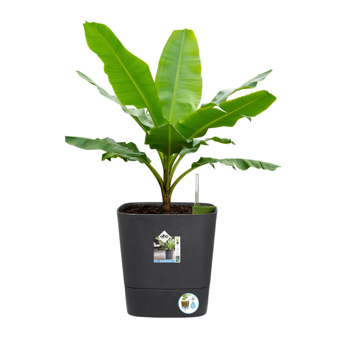 greensense aqua care vierkant 38cm houtskoolgrijs